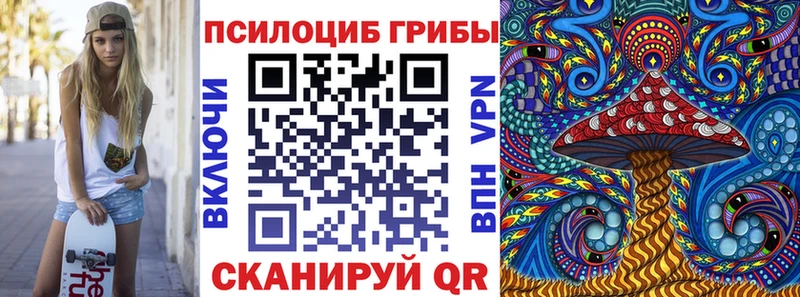 Купить закладки  Нелидово  Галлюциногенные грибы MAGIC MUSHROOMS 